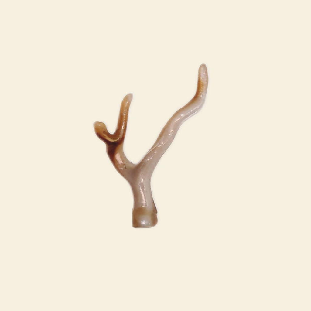 Coral Branch - Grande Charm