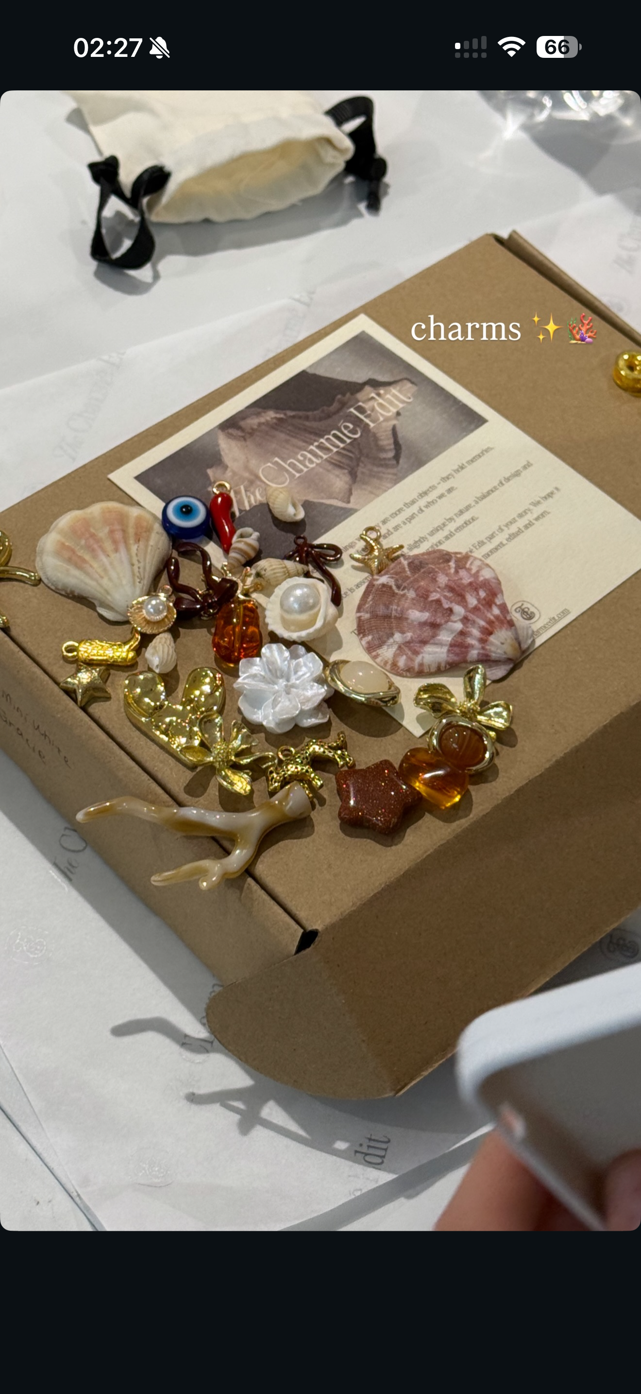 Charmé DIY Party Kit (Bundle of 6+)