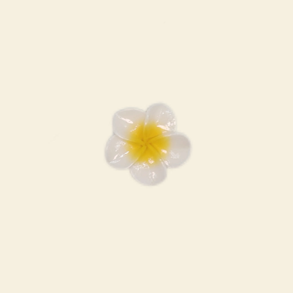 Birds of the Feather - Grande / Midi Charm