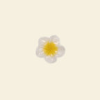 Birds of the Feather - Grande / Midi Charm