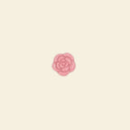 Pink cloud - Midi Charm
