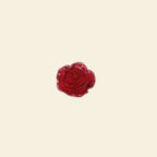 Camellia - Midi Charm