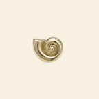 Spiral Shell - Grande Charm