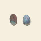 abalone shell charm for phone case customisation
