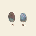 Abalone shell - Grande Charm