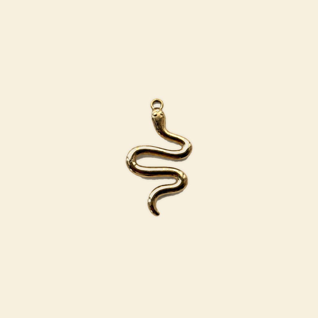 serpent charm on a solid #f7f0df background