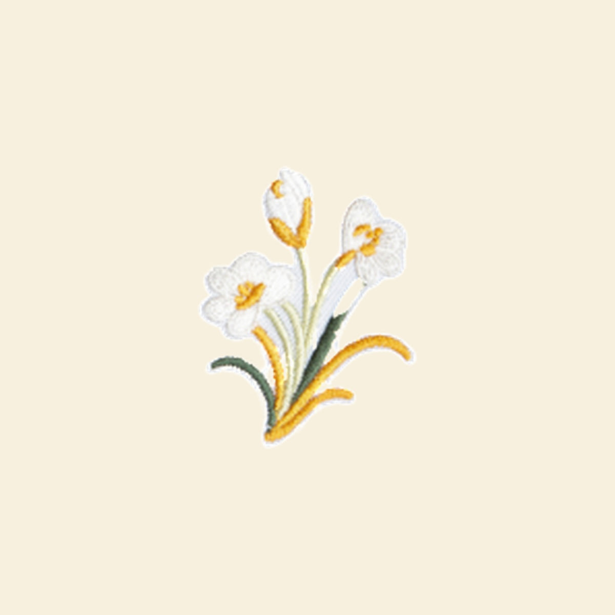 White Daffodils Patch